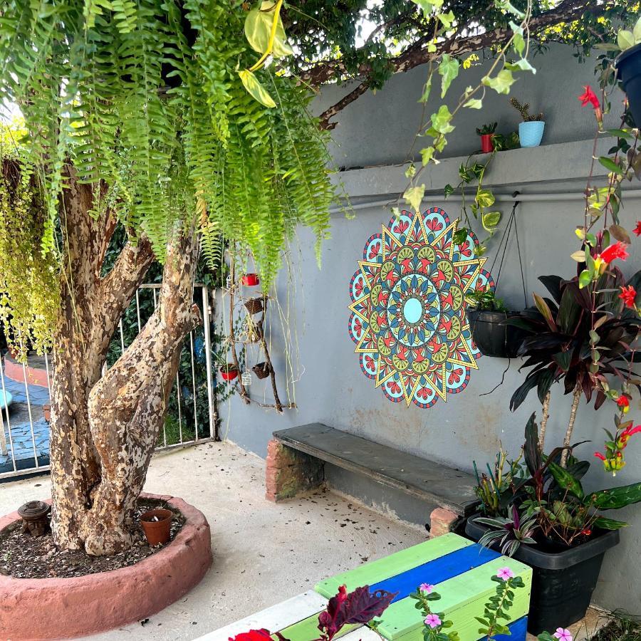 Casa Jardim Hostel Bh - Santa Efigenia - Paraiso Μπέλο Οριζόντε Εξωτερικό φωτογραφία