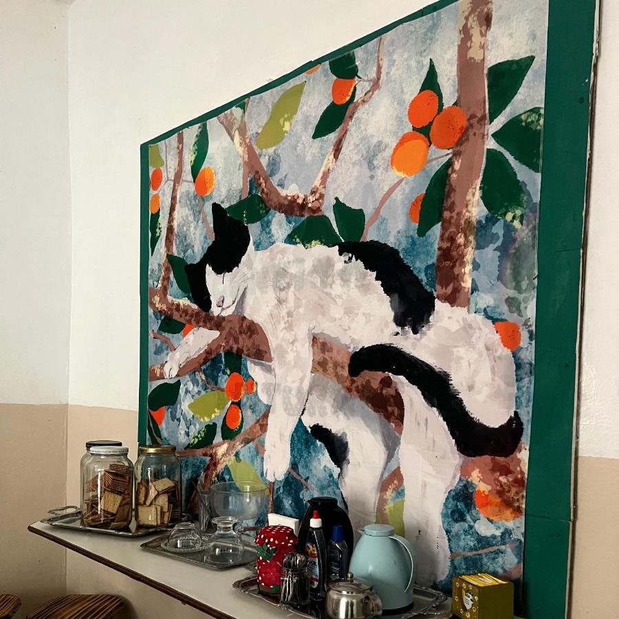 Casa Jardim Hostel Bh - Santa Efigenia - Paraiso Μπέλο Οριζόντε Εξωτερικό φωτογραφία